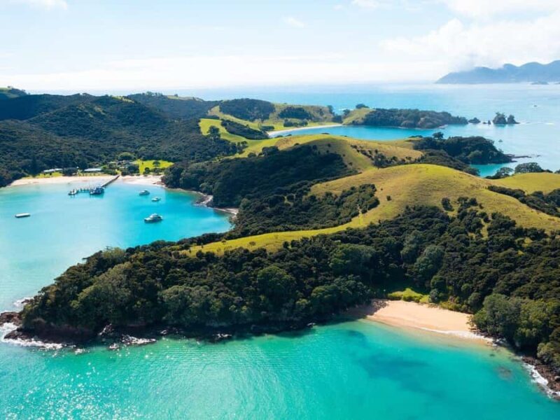 From Auckland: Full-Day Tour to the Bay of Islands - Who Will Love This Tour?