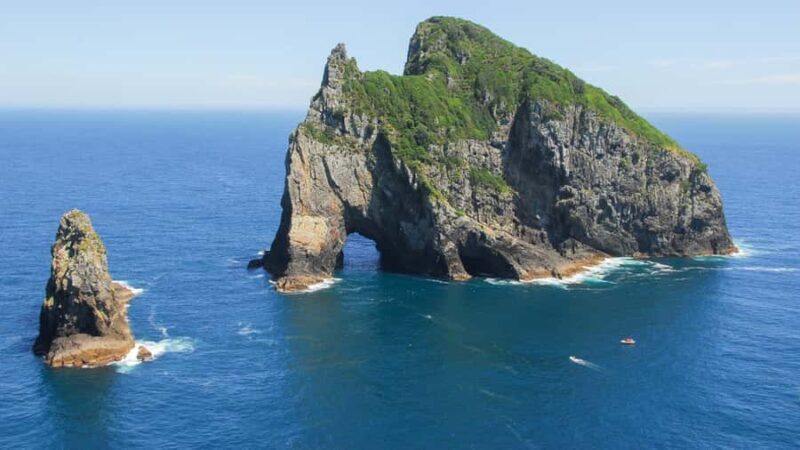 From Auckland: Full-Day Tour to the Bay of Islands - Frequently Asked Questions