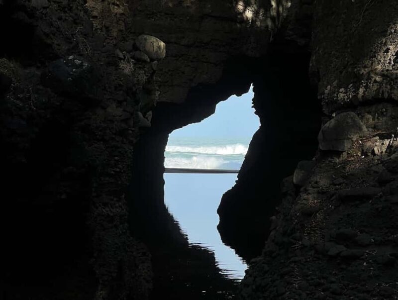 From Auckland: Guided Tour of Piha with Scenic Beach Walks - Key Points