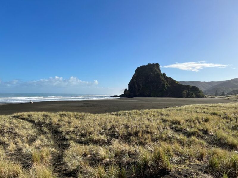 From Auckland: Guided Tour of Piha with Scenic Beach Walks - Barefoot Walks and Cave Exploration