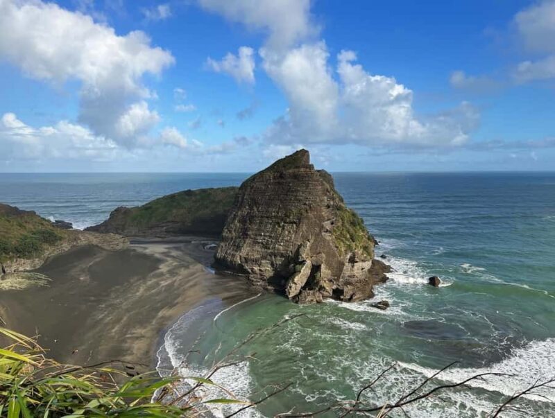 From Auckland: Guided Tour of Piha with Scenic Beach Walks - Wildlife and Natural Encounters