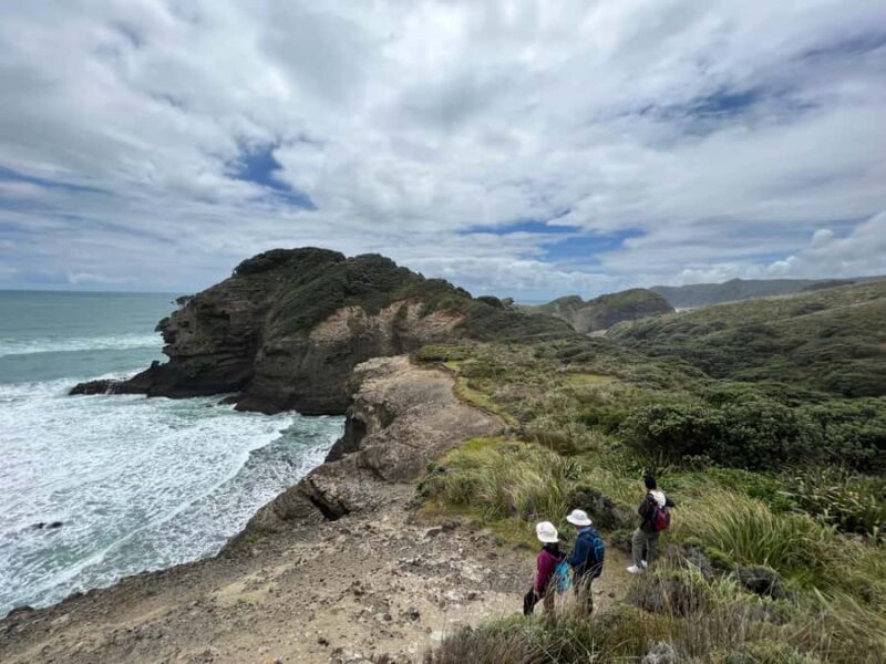 From Auckland: Guided Tour of Piha with Scenic Beach Walks - Relaxing Beachside Picnic and Swim