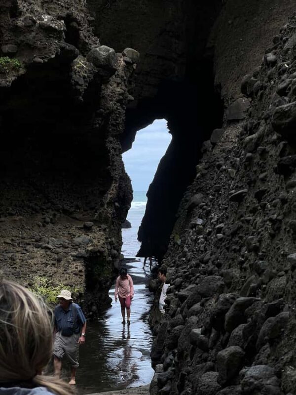From Auckland: Guided Tour of Piha with Scenic Beach Walks - Return Journey and Reflection