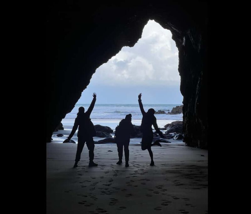 From Auckland: Guided Tour of Piha with Scenic Beach Walks - The Practical Details