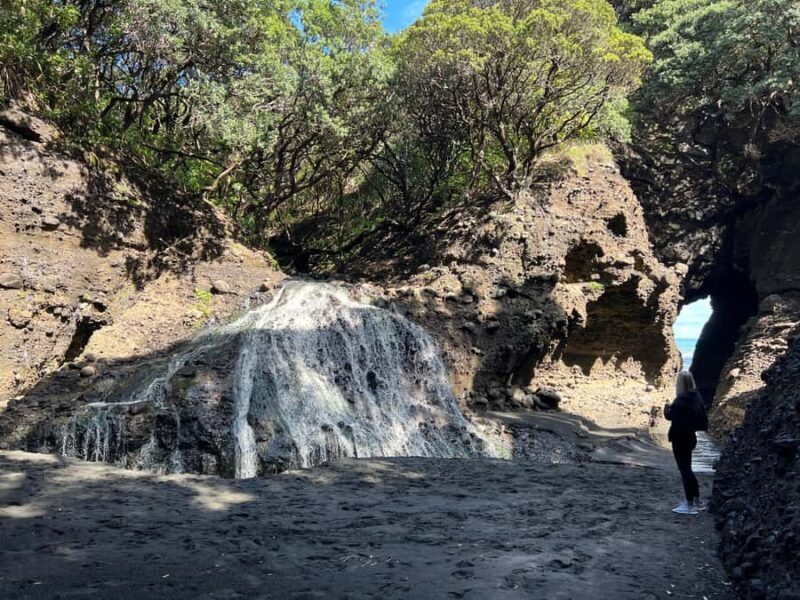 From Auckland: Guided Tour of Piha with Scenic Beach Walks - Who Will Love This Tour?