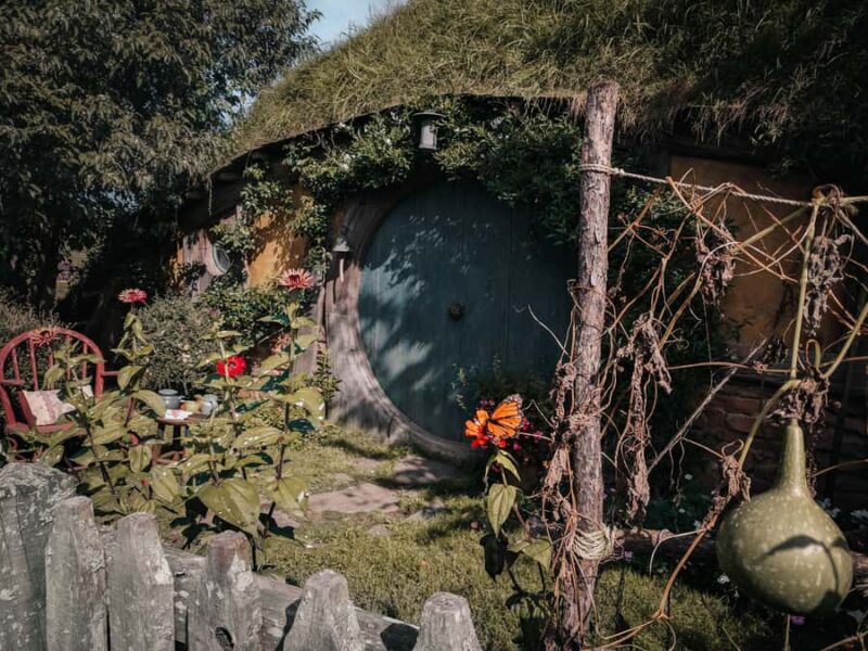 From Auckland: Hobbiton Afternoon Tour - A Scenic and Authentic Hobbiton Experience from Auckland