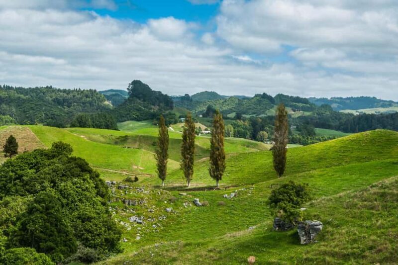 From Auckland: Hobbiton and Waitomo Day Tour with Lunch - The Sum Up