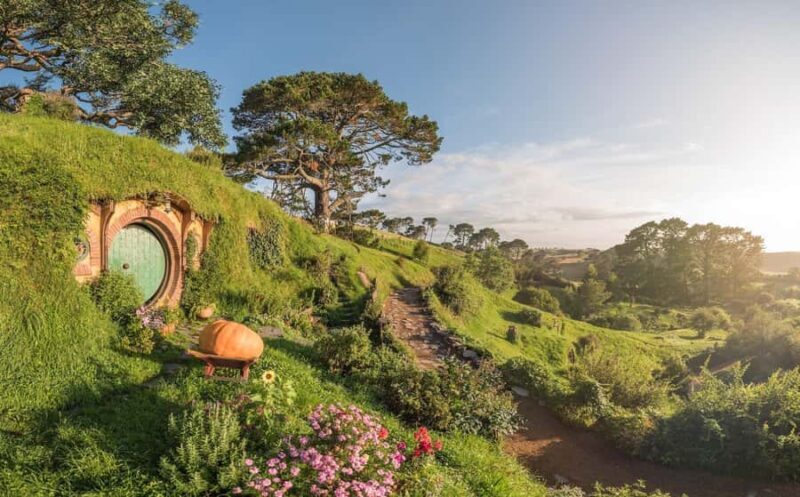 From Auckland: Hobbiton Movie Set Day Tour with Picnic Lunch - The Itinerary in Detail
