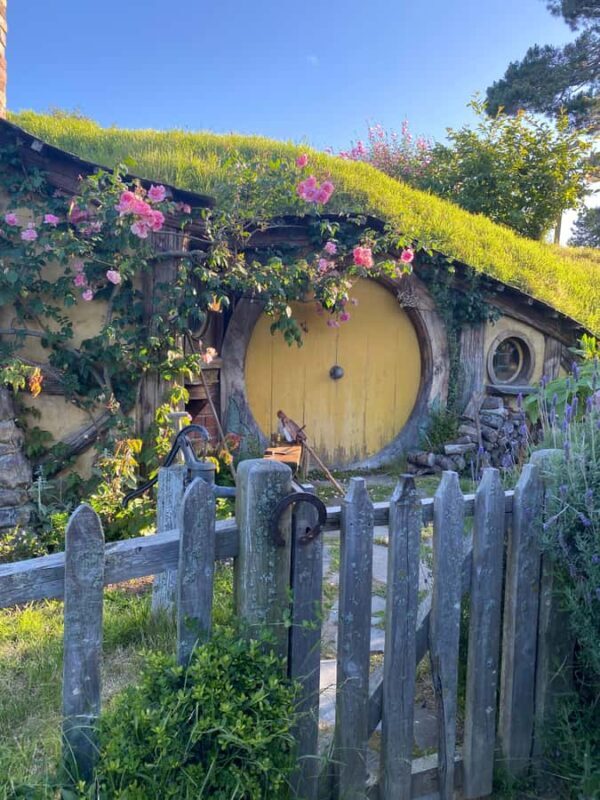 From Auckland: Hobbiton Movie Set - Private Tour - Exploring Middle-earth: What You’ll See