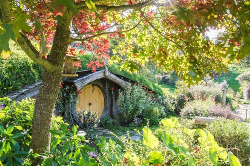 From Auckland: Hobbiton Movie Set Small Group Tour - An in-depth look at the Hobbiton Experience