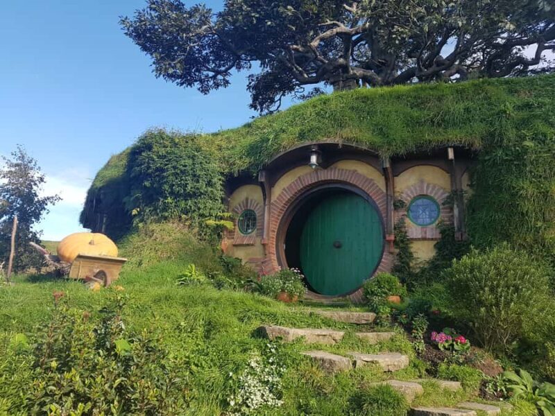 From Auckland: Hobbiton & Rotorua Tour with Lunch at Te Puia - Key Points