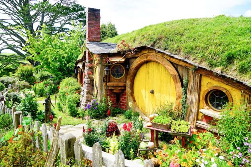 From Auckland: Hobbiton & Rotorua Tour with Lunch at Te Puia - Transportation and Group Size – Why It Matters