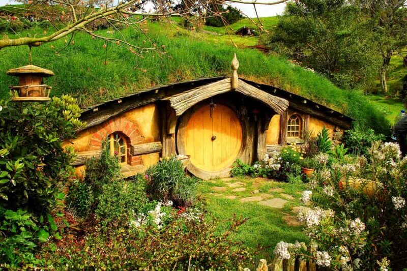 From Auckland: Hobbiton & Rotorua Tour with Lunch at Te Puia - Authentic Experiences Highlighted by Reviews