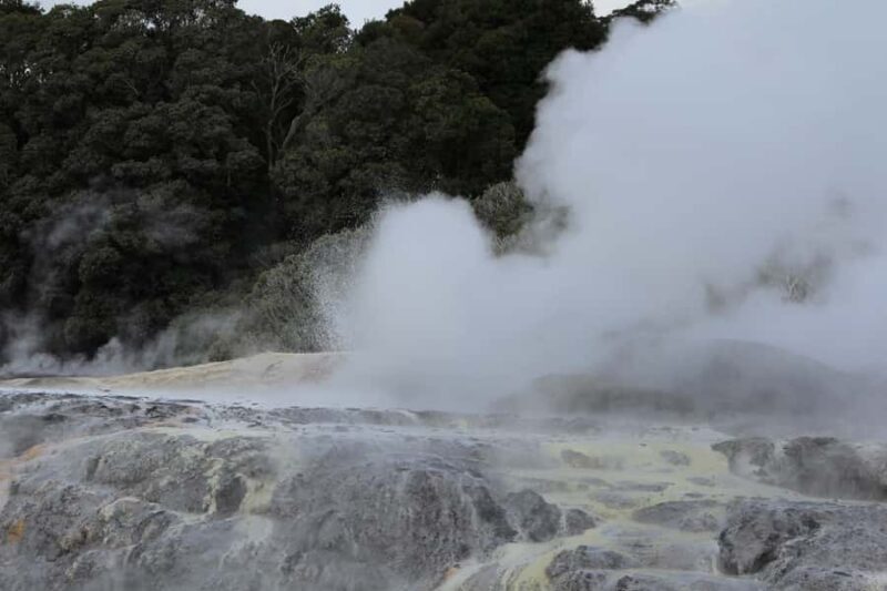 From Auckland: Hobbiton & Rotorua Tour with Lunch at Te Puia - Who Should Consider This Tour?