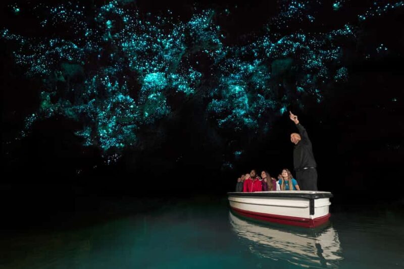 From Auckland: Hobbiton & Waitomo Caves Day Trip with Lunch - Final Thoughts: Who Is This Tour For?