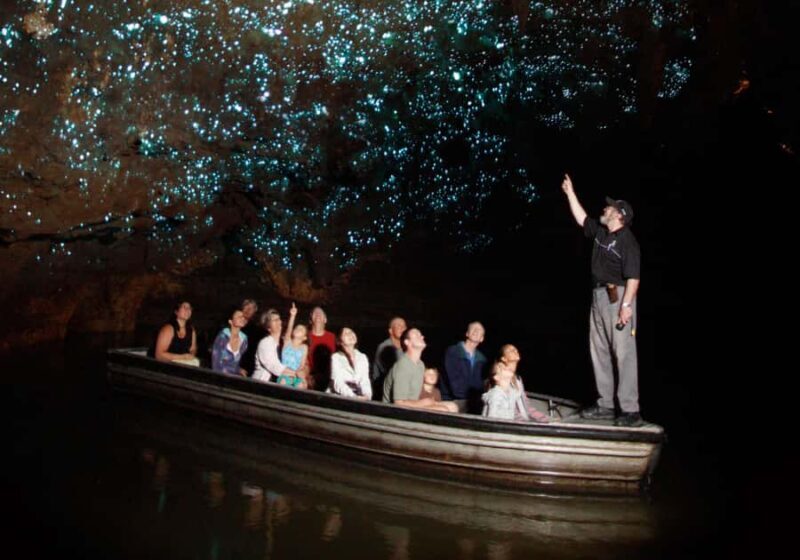 From Auckland: Hobbiton, Waitomo Caves & Kiwi House Tour - Who Should Consider This Tour?