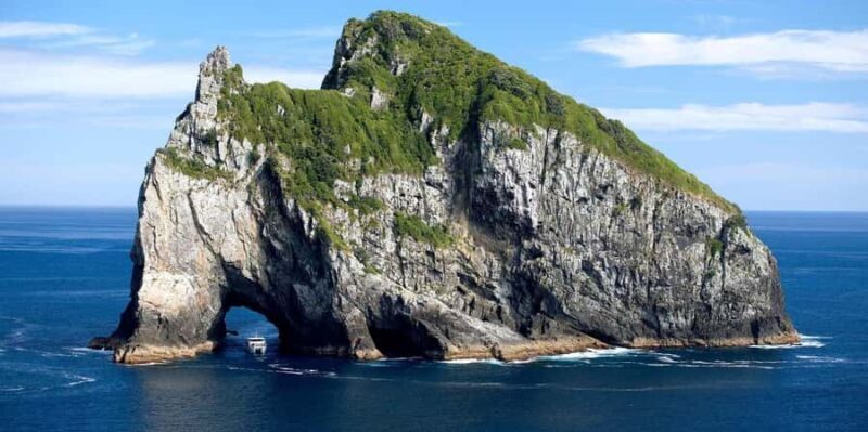 From Auckland: Hole in the rock cruise tour - A Practical Guide to the From Auckland: Hole in the Rock Cruise Tour