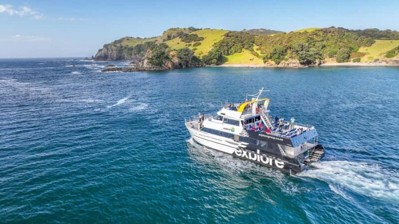 From Auckland: Hole in the rock cruise tour - Key Points