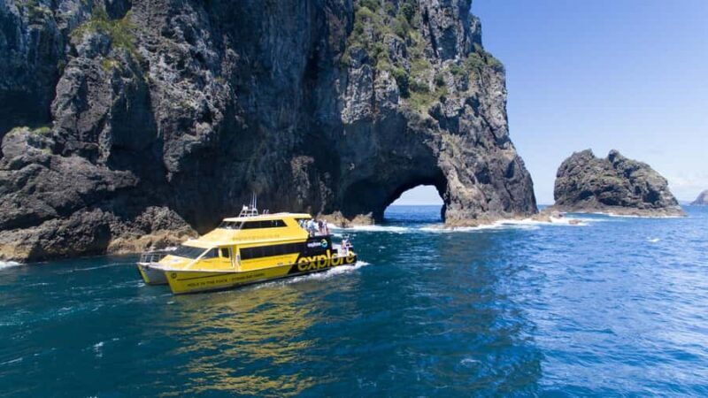 From Auckland: Hole in the rock cruise tour - The Cruise Experience: The Heart of the Day