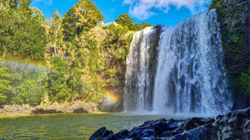 From Auckland: Hole in the rock cruise tour - Stopping at Whangarei Falls
