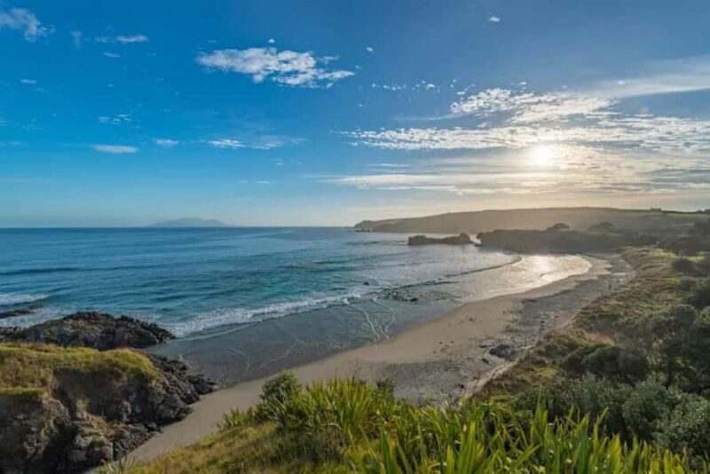 From Auckland: Kiwi Bird Encounter & 3-Course Dinner Tour - An In-Depth Look at the Tour Experience