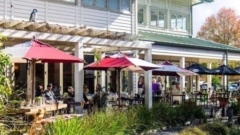 From Auckland: Kiwi Bird Encounter & 3-Course Dinner Tour - FAQ