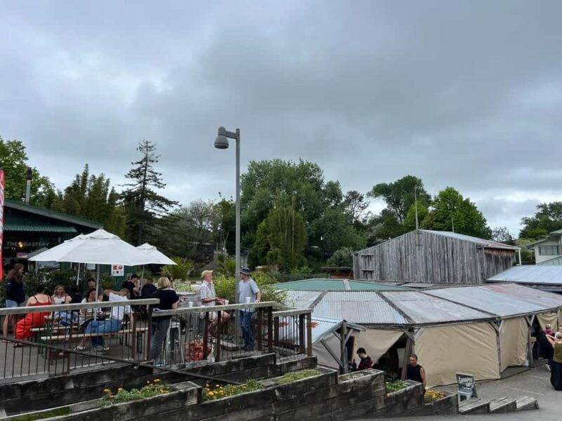 From Auckland: MATAKANA VILLAGE MARKET & WINE/SCULPTURE TOUR - Final Summary