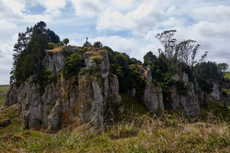 From Auckland or Rotorua: Hobbiton & Waitomo Tour with Lunch - Afternoon: Waitomo Glowworm Caves