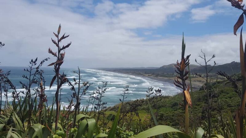 From Auckland: Small Group Kumeu Wine Tour with Lunch - FAQ