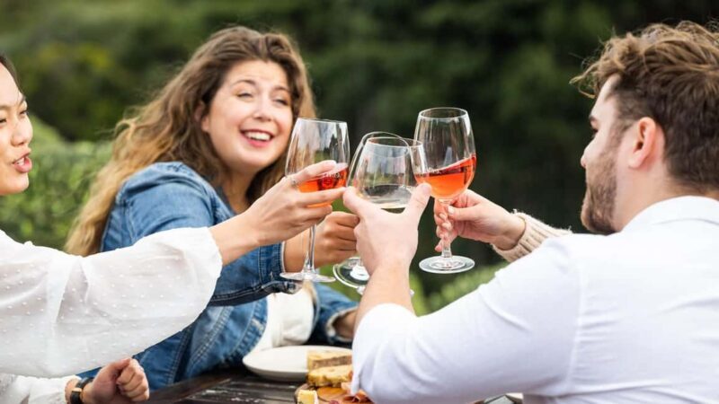 From Auckland: Taste Of Waiheke Island Day Tour - The Experience: From Booking to Return