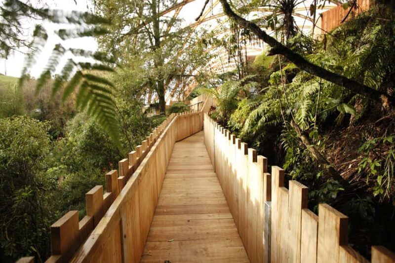From Auckland: Waitomo Glowworm and Ruakuri Caves Day Tour - FAQ: Your Questions Answered