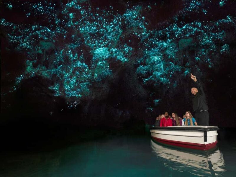 From Auckland: Waitomo Glowworm Cave Tour - What Is the Waitomo Glowworm Cave Tour?