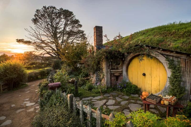 From Auckland: Waitomo & Hobbiton Bus Tour with Lunch - The Itinerary in Detail