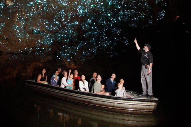 From Auckland:Hobbiton Movie Set & Waitomo Caves Small Group Tour - An In-Depth Look at the Experience