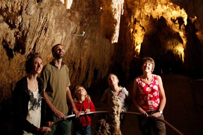 From Auckland:Hobbiton Movie Set & Waitomo Caves Small Group Tour - Practical Tips