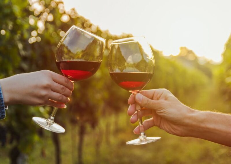 From Austin: Half-Day Hill Country Wine Shuttle - The Sum Up: The Best Value for a Relaxed Wine Escape