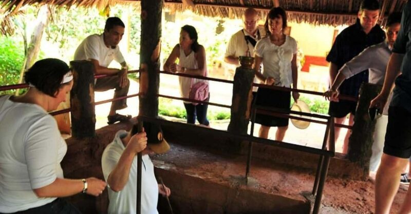 From Ba Ria, Vung Tau : Nui Dat, Long Tan, Long Phuoc tour - Who Would Enjoy This Tour?