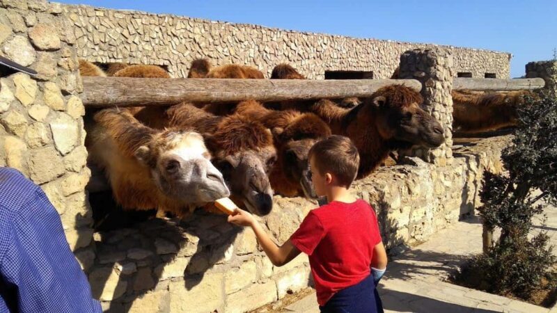 From Baku: Absheron National Park & Pirallahi Island Tour - Who Will Love This Tour?