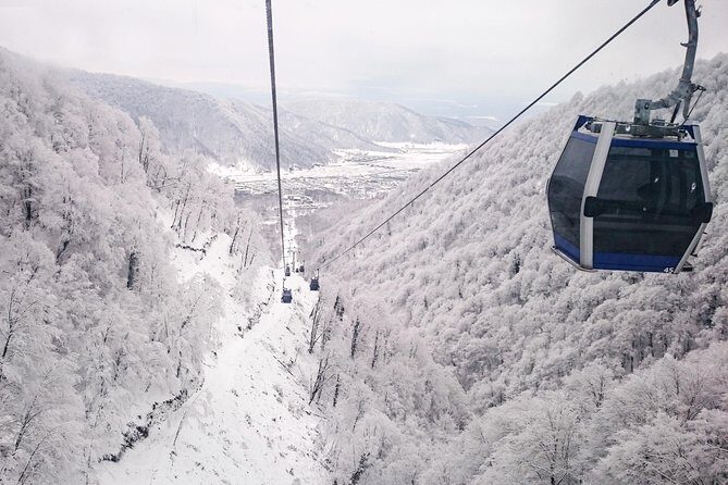 From Baku: Gabala Day Trip - Key Points