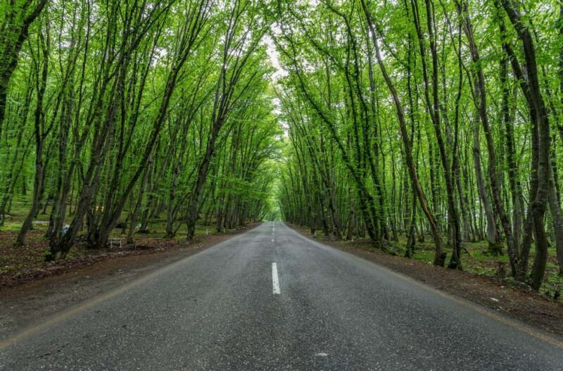 From Baku: Greater Caucasus Full-Day Tour - Why This Tour Stands Out