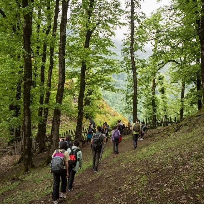 From Baku: Sim Waterfall & Ballgaya Hiking Tour - Who Is This Tour Best For?