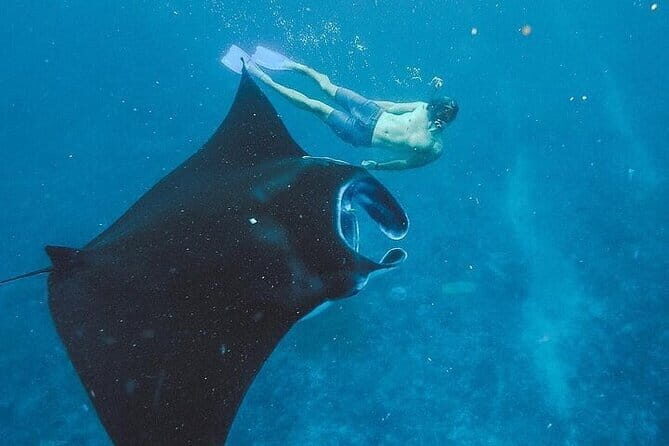 From Bali: Nusa Penida Full Day Tour and Snorkeling - FAQ