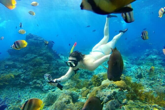 From Bali: Nusa Penida Snorkeling and Island Tour - A Close Look at the Tour Experience