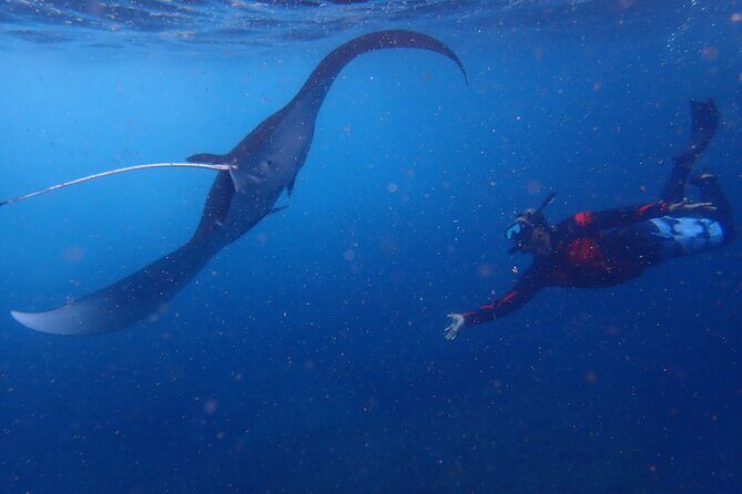 From Bali: Snorkeling Trip to Nusa Lembongan & nusa Penida island - An In-Depth Look at the Tour Experience