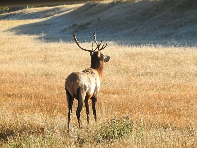 From Banff/Canmore: Deep 1 Day Tour in Banff National Park - Key Points