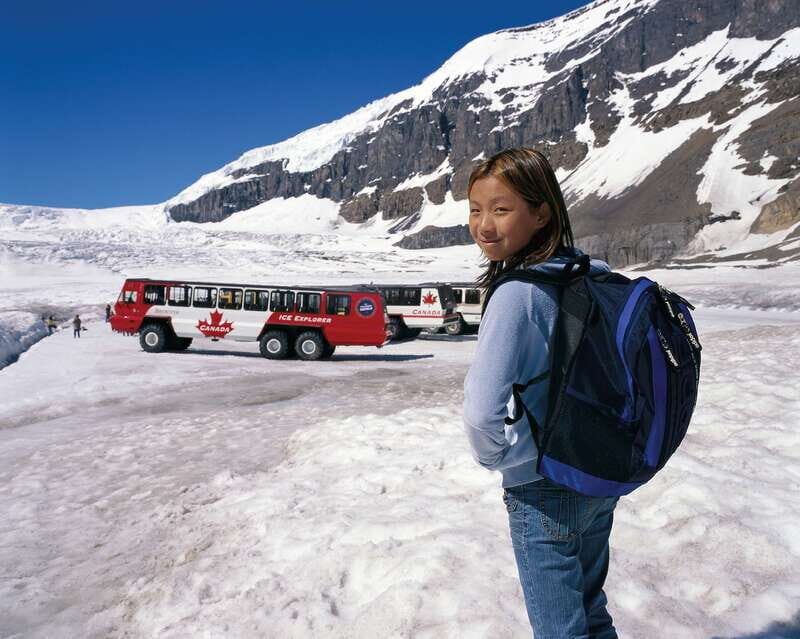 From Banff/Lake Louise: 1-Way Sightseeing Tour to Jasper - Key Points