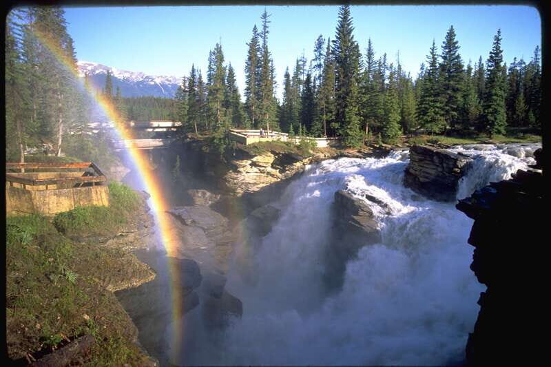 From Banff/Lake Louise: 1-Way Sightseeing Tour to Jasper - FAQ