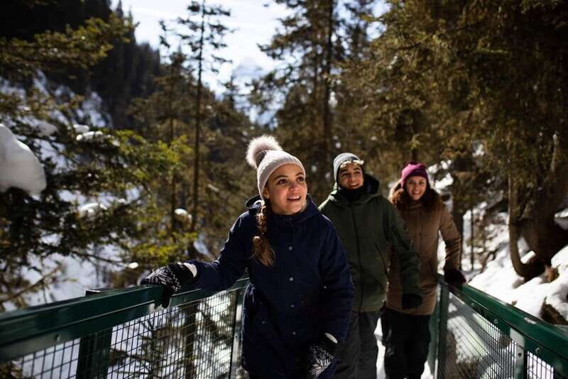 From Banff: Winter Wonderland; Lake Louise & Johnston Canyon - Authentic Experiences and Practical Tips