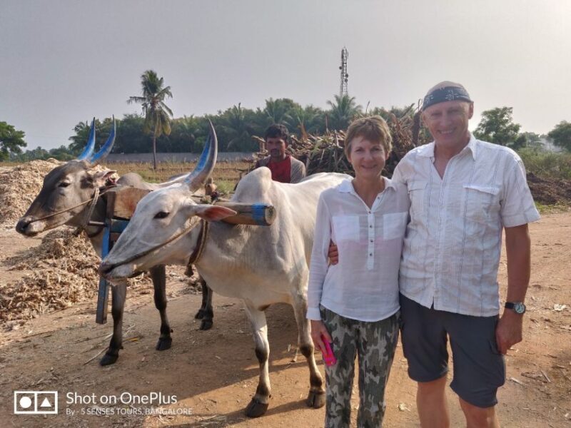 From Bangalore: Day Trip to Somnathpur & Talakadu with Lunch - Key Points