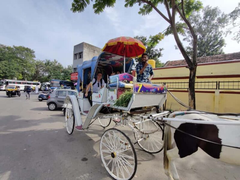 From Bangalore : Mysore Sightseeing full day tour - Key Points